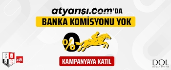 Yeni Beygir Hayal Gücünüzü Renklendiren At Yarışı Dünyası